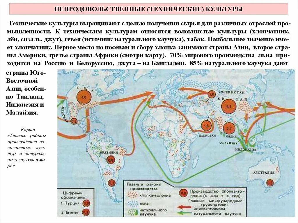 Лидеры по выращиванию технических культур. Главные районы производства льна. Страны с выращиванием технических культур. Крупные производители технических культур