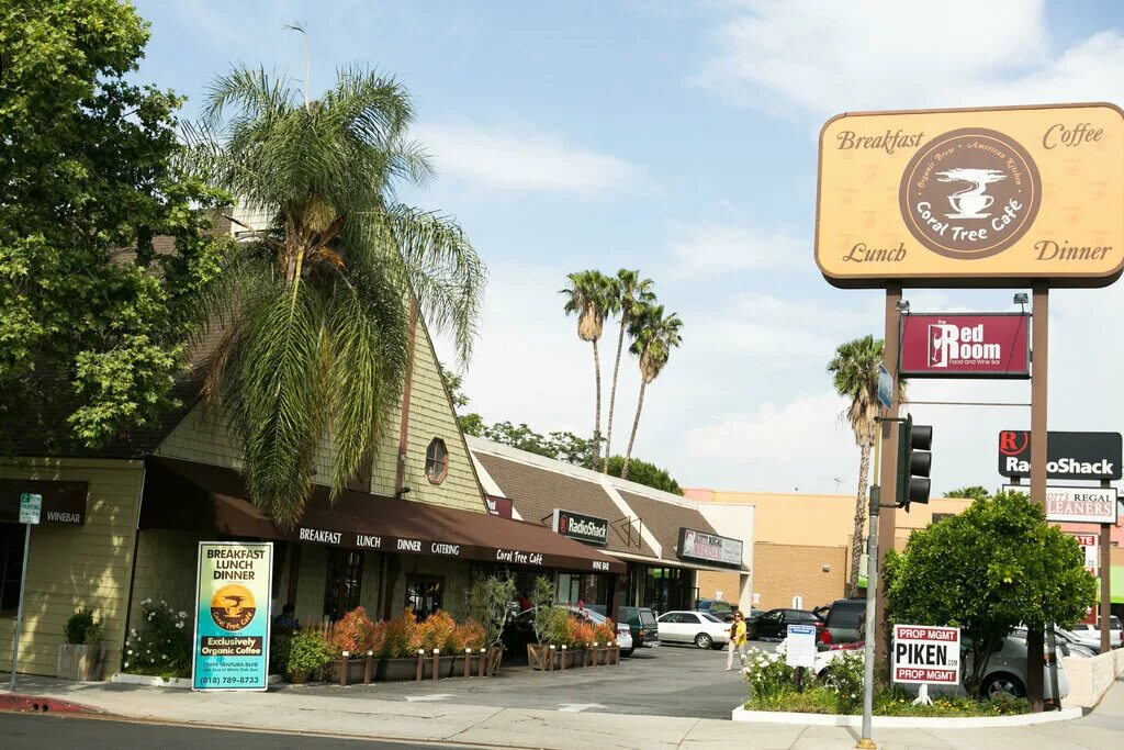 Coffeeshop ульяновск кафе. Кафе tree владивосток. Ресторан с деревом внутри. Cafe tree владивосток. Fig tree программа.