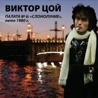 6 цой
