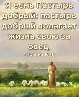 Псалом 49