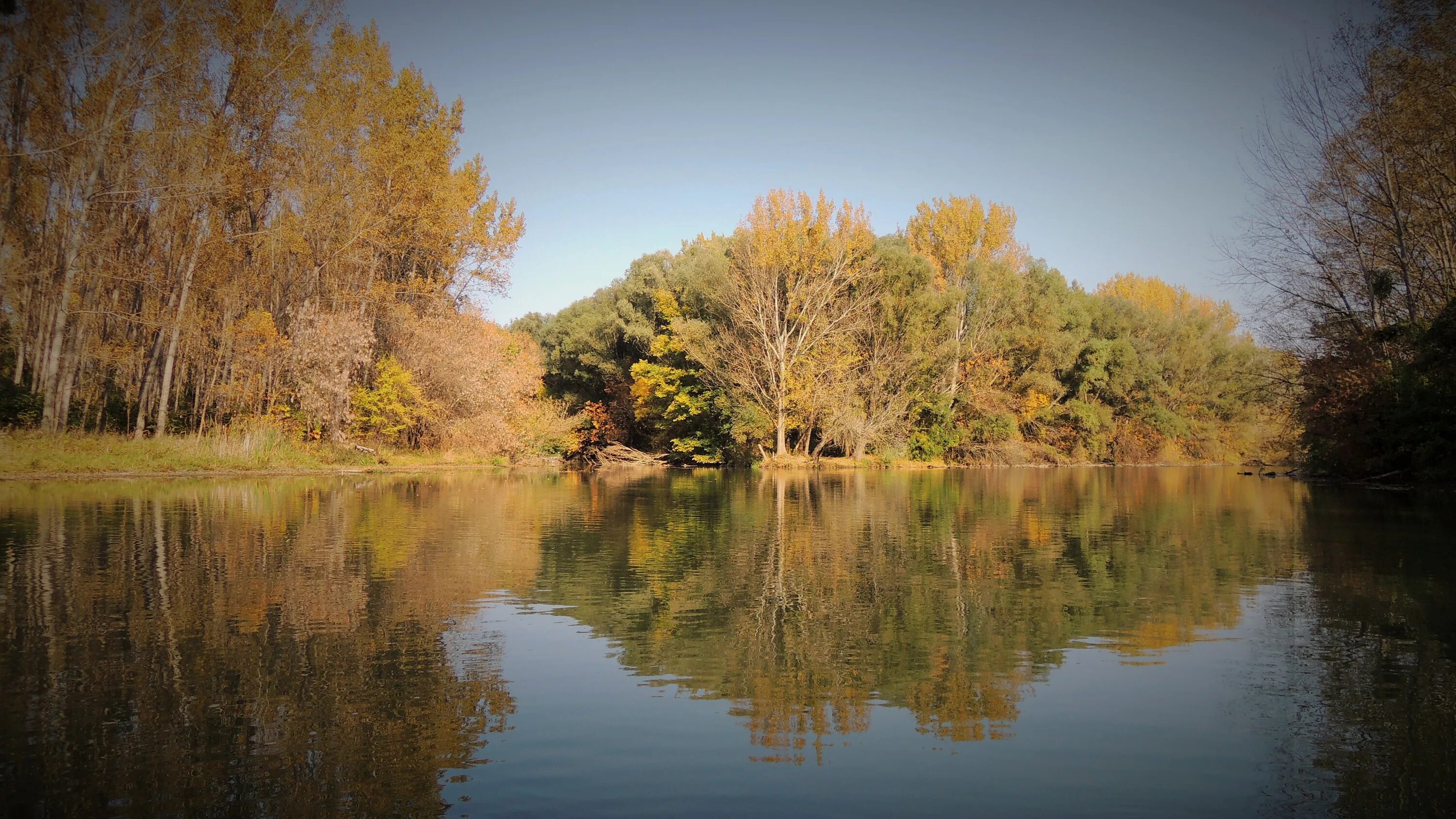 Деревья смотрят в воду. Река Дунай в Словакии. Осень Дунай. Дунай осенью. Река в Словакии фото.