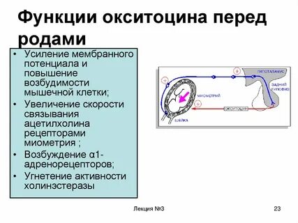 Окситоцин после родов