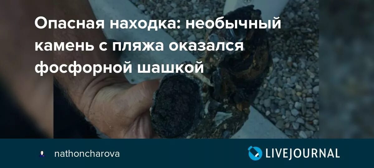 Мальчик нашел ананас им оказался немецкий фугас. Немецкий фугас ананас. Опасная находка книга. Маленький мальчик нашел ананас им оказался.