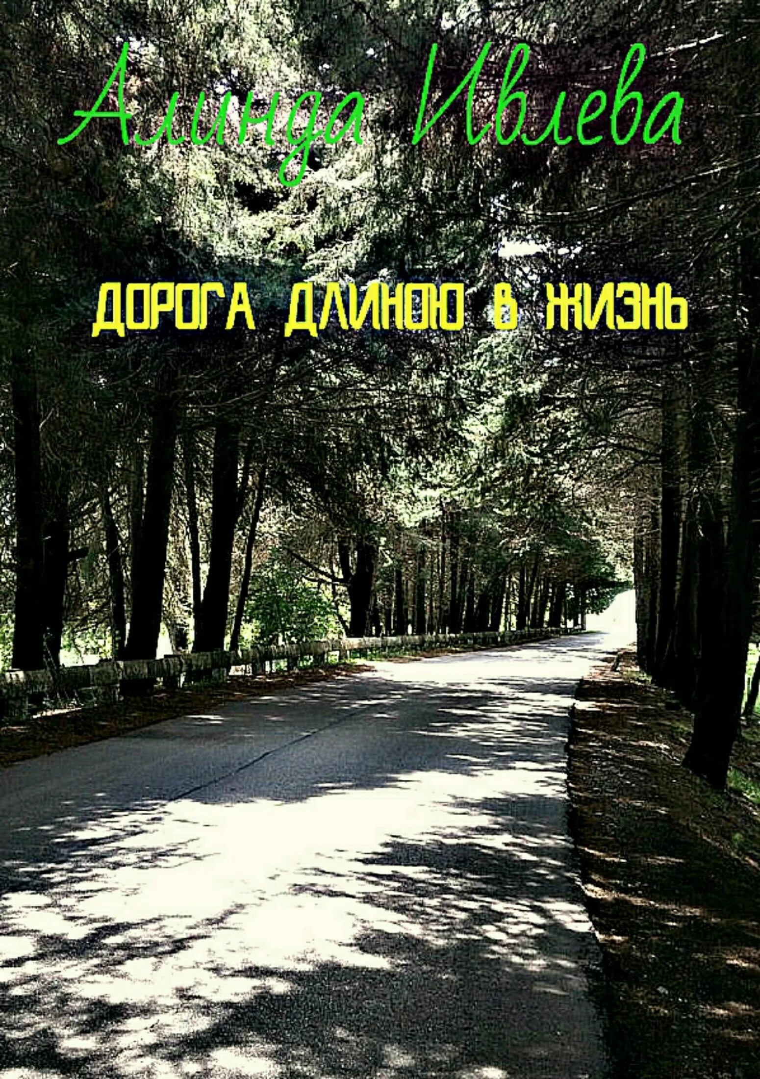 Путь длиною в жизнь. Дорога длиною в жизнь. дорога длина. дорога длиною в жизнь алинда ивлева книга. а впереди дорога длиной в жизнь.