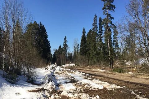 Деревня красновидово
