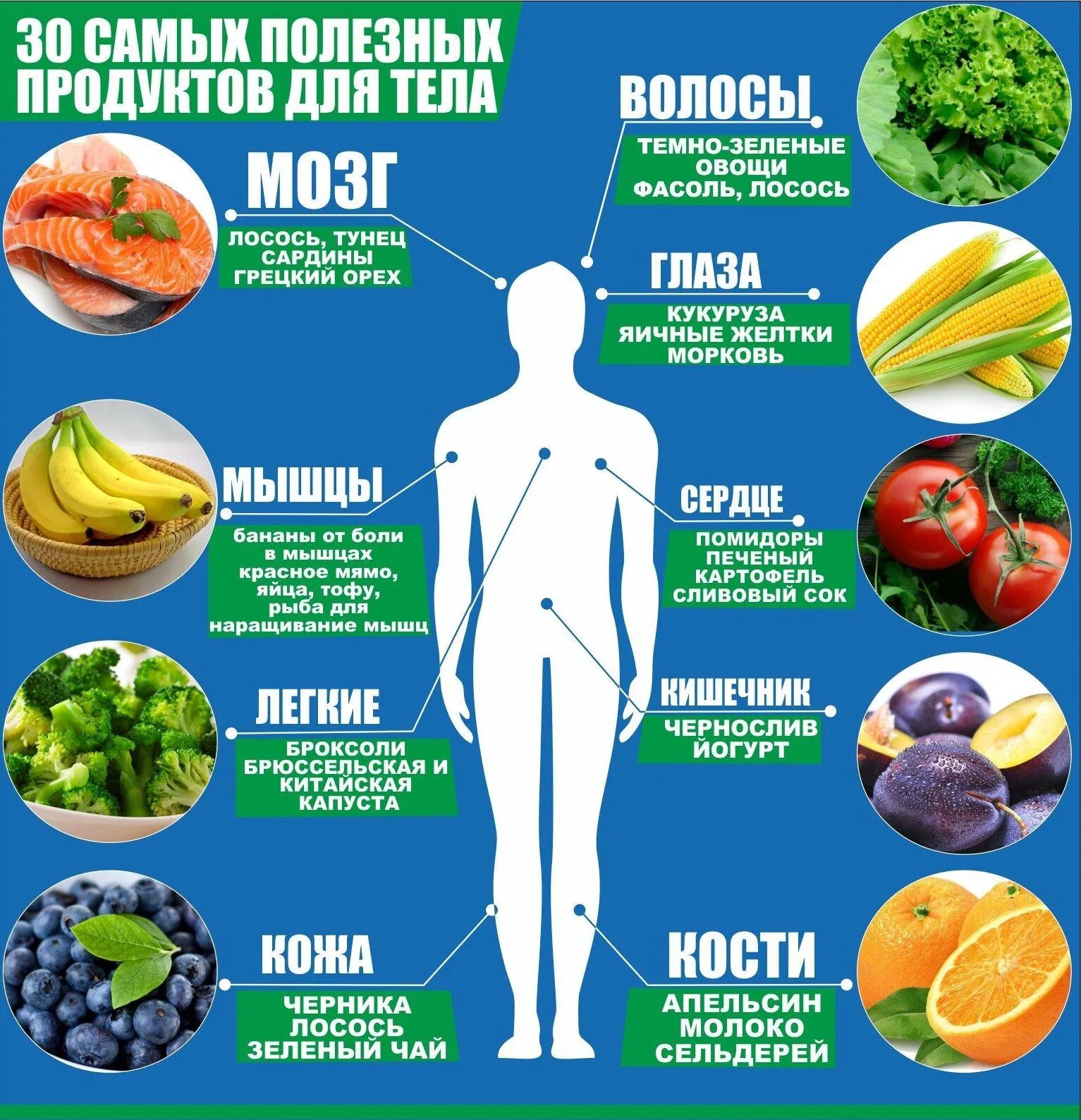 Продукты здорового питания. Полезные продукты питания. Достойному мужчине 33. 30 полезных. Маркетплейс.