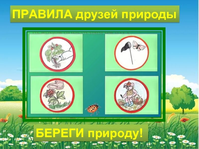 Берегите природу. Окружающий мир. Будь природе другом. Друзья на природе. Друг природы окружающий мир 2 класс