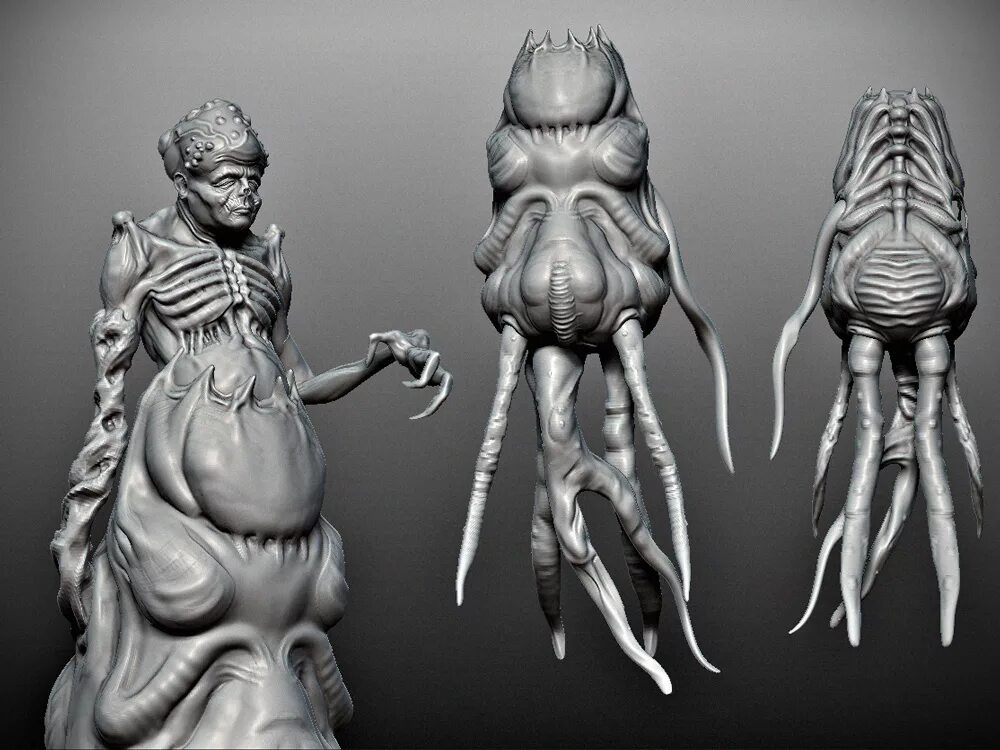 Хищник 3д модель. Хищник Zbrush. Pixologic Zbrush 2022. Анатомия орков збраш. Хищник референс.