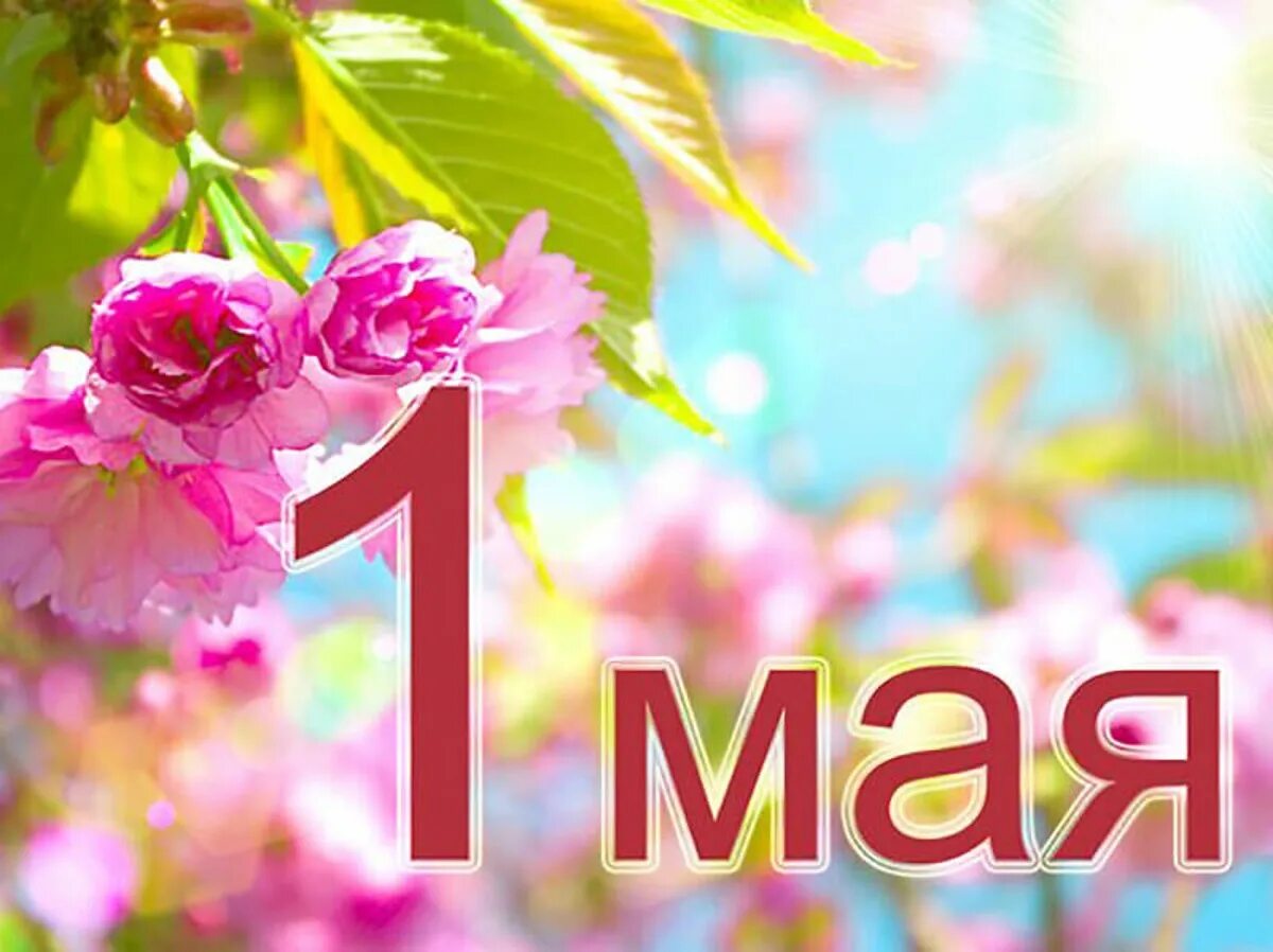 Почему 1 мая праздник. Поздравление с 1 мая. 1 мая праздник. открытки с 1 мая. 1 мая праздник весны и труда.
