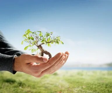 Take care of the environment