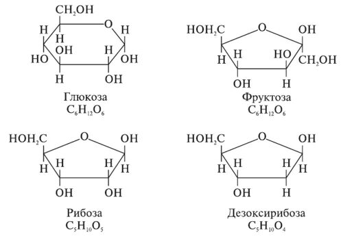 Фруктоза форма. Рибоза Глюкоза дезоксирибоза. Формула Глюкозы и рибозы. Строение Глюкозы фруктозы рибозы. Глюкоза рибоза фруктоза формула.