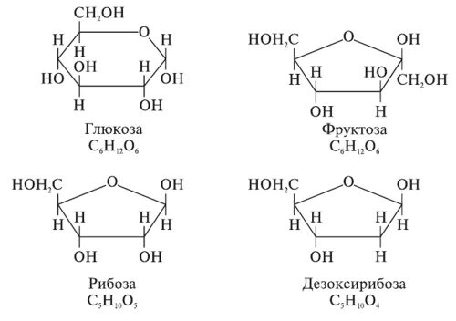 Рибоза Глюкоза дезоксирибоза. Формула Глюкозы и рибозы. Строение Глюкозы фруктозы рибозы. Глюкоза рибоза фруктоза формула. Фруктоза лучше глюкозы