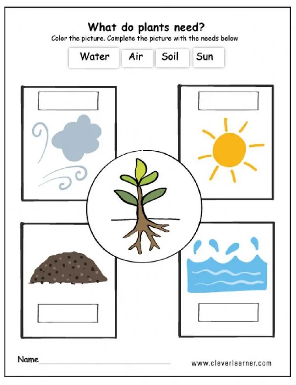 Plants task. Растения Worksheets for Kids. Plants растения Worksheets for Kids. Природа Worksheets. Сад Worksheets for Kids.