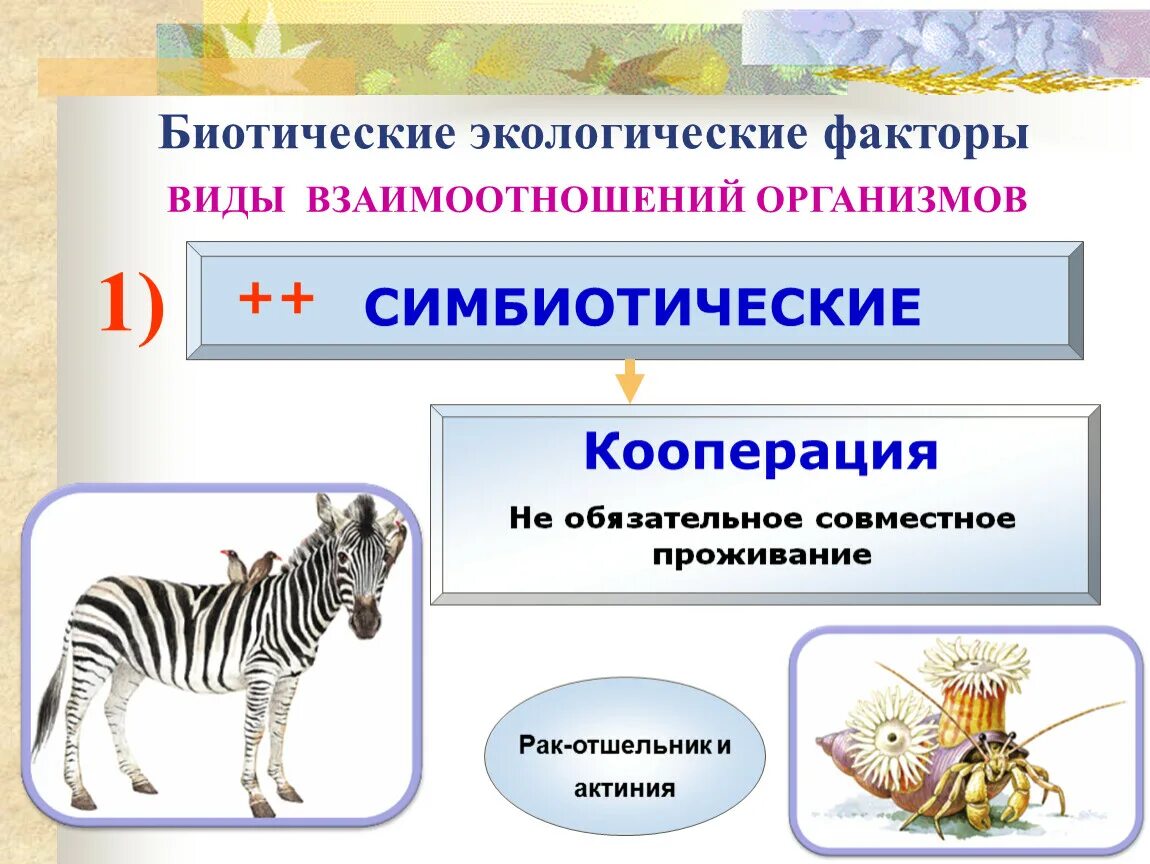 Биотический фактор природной среды. Типы экологических взаимодействий организмов биотические факторы. Биотические экологические факторы. Биотические экологически ыавтокы. Биотические факторы типы взаимоотношений.