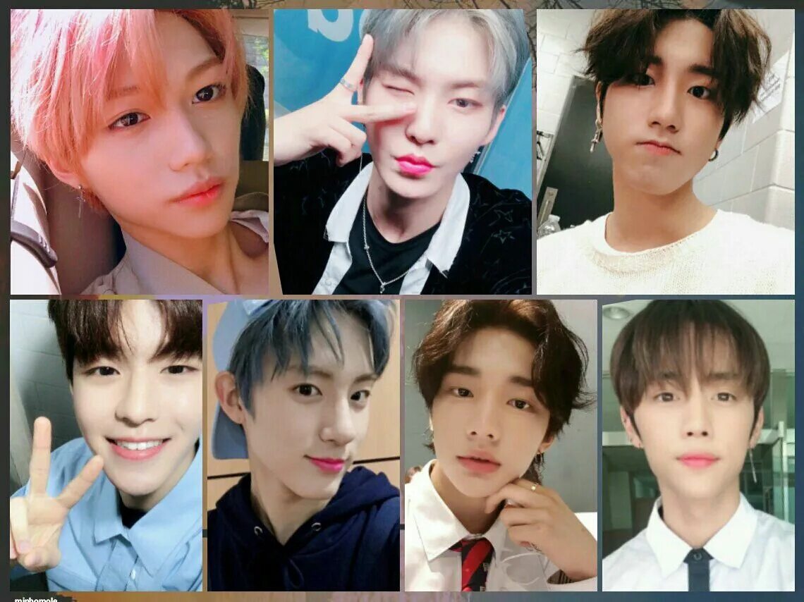 Группа stray kids участники 2022. На кого я похожа из стрей кидс. Хомяк stray kids. Участники стрей килс имена. Тест кто ты из стрейкидс.