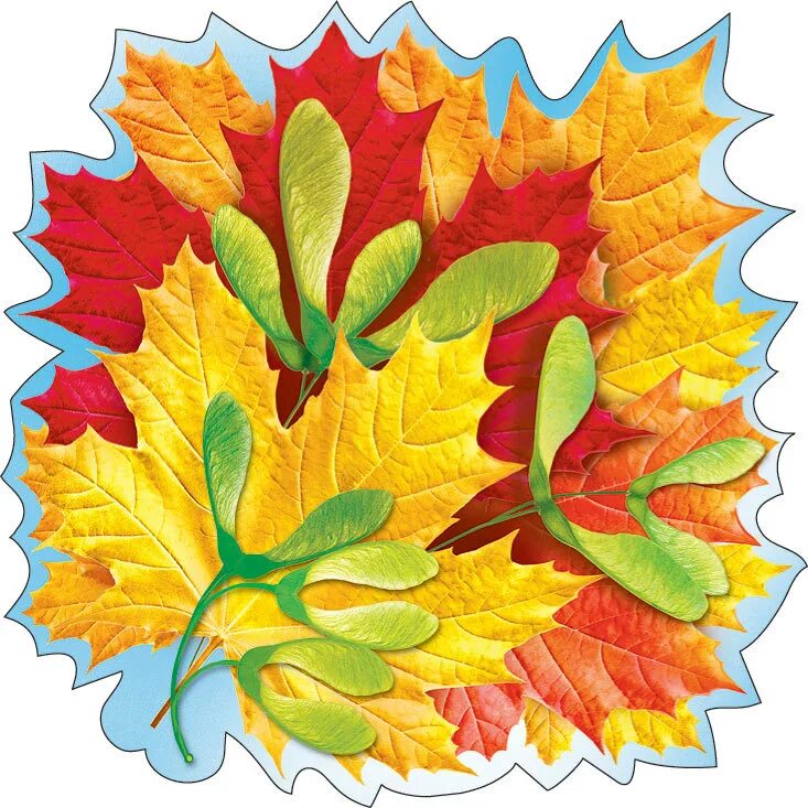 Листья для оформления класса. Украшение "лист". Осенние листочки. Цветной лист. Разноцветные листья.