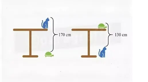 Задача высота стола. Задача про стол кота и черепаху решение. Вычислить высоту стола кошка и черепаха. Задача высота стола кот черепаха. Китайская задача про стол кота и черепаху.