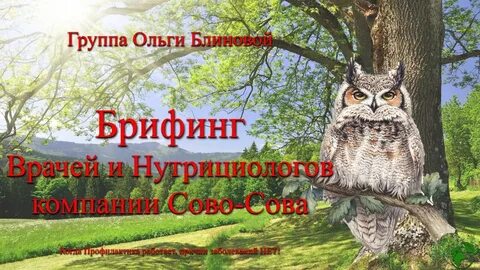 Оптимист сова сова инструкция