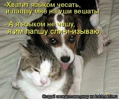 Любитель почесать языком