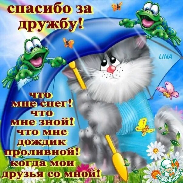 благодарю за дружбу. открытки с благодарностью за дружбу. открытки про дружбу. открытка с благодарностью подруге. дружеское спасибо.
