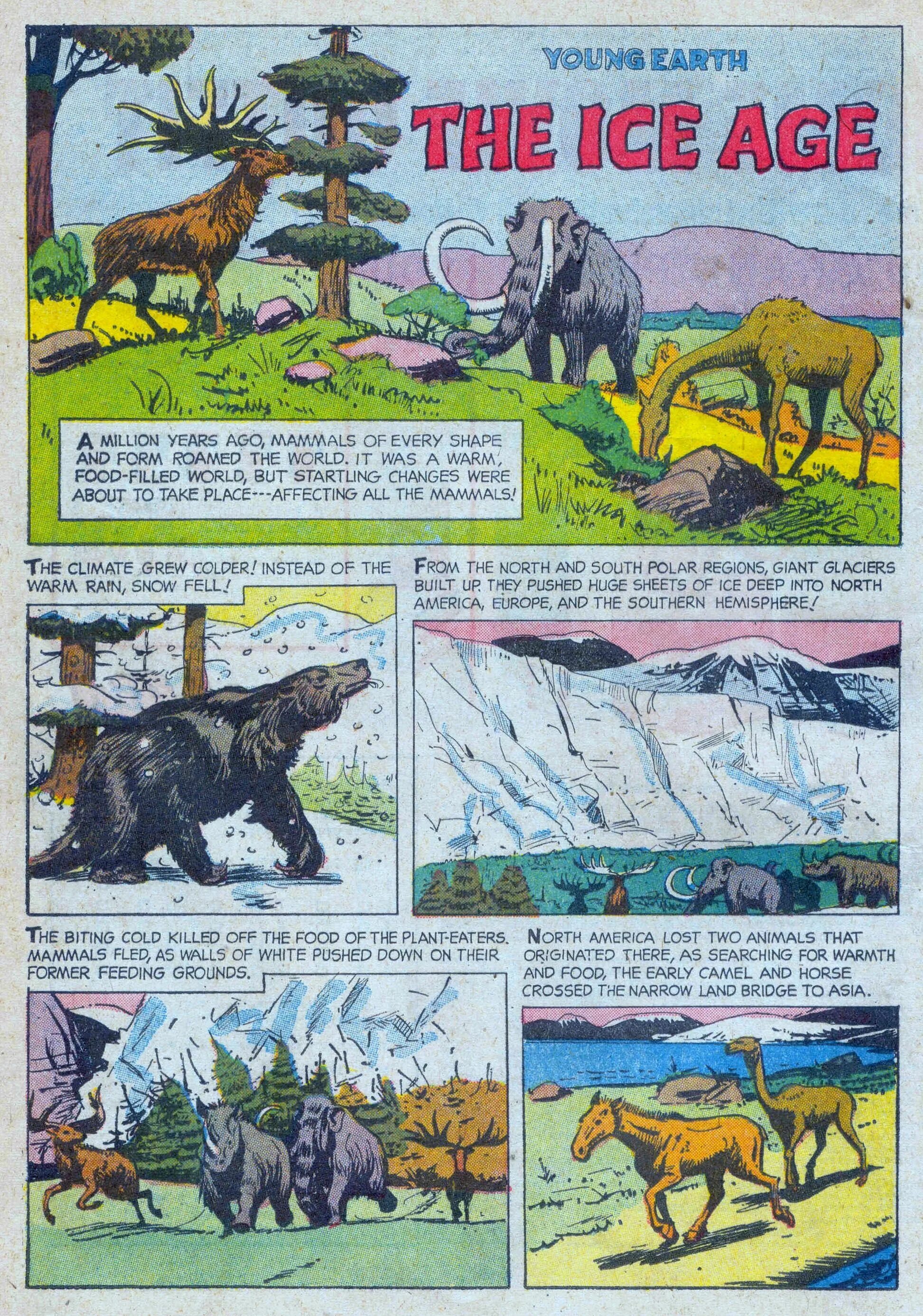 Слон референс. Mammal on earth перевод. Млекопитающие примеры на английском. Почему вымерли динозавры комикс. Mammalia.