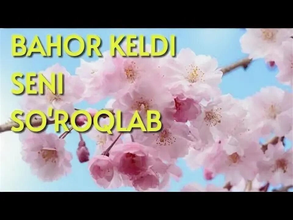 Baxor keldi Seni so'roqlab. Bahor keldi seni so roqlab