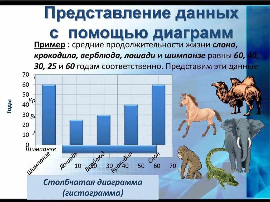 Сроки жизни животных. Представление данных с помощью диаграмм. Представление информации. Наглядные формы представления. Средняя Продолжительность жизни животных диаграмма.