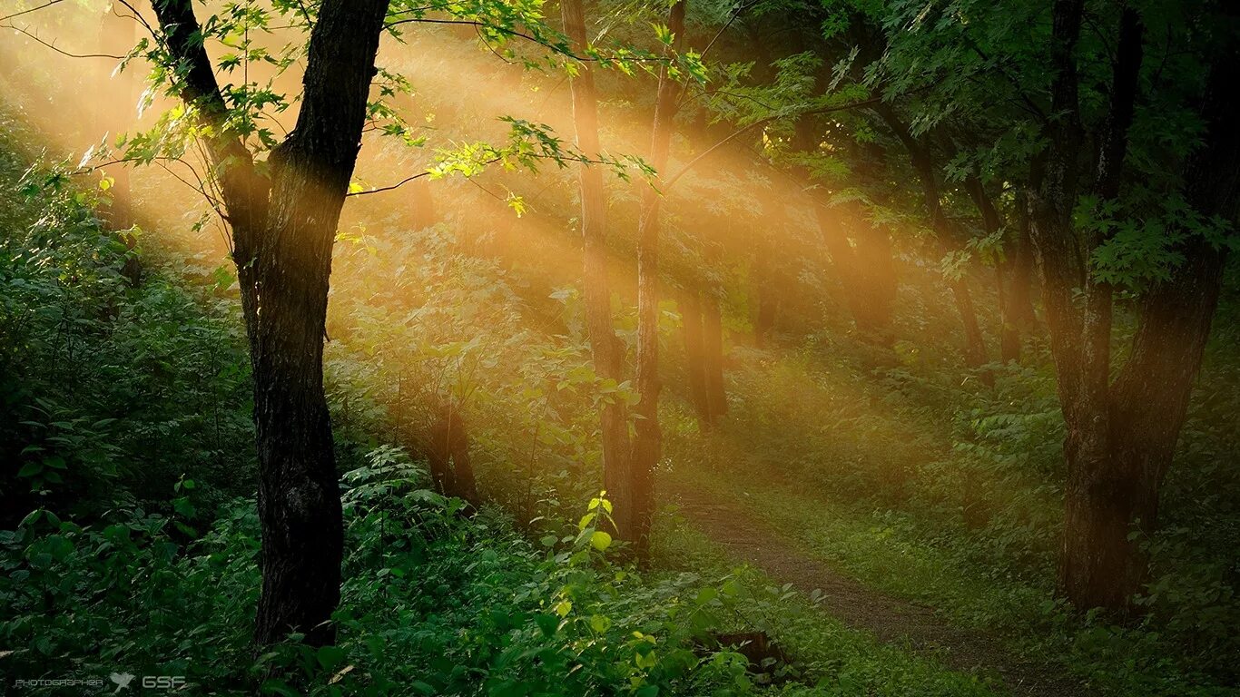 притча о счастье в яме. света притча. зажегши свечу не ставят. света притча. человек на вершине.