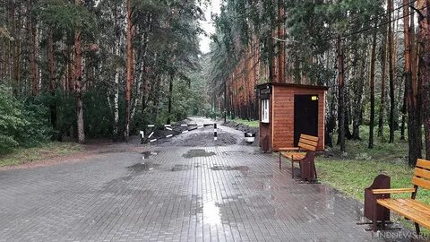 Массив северо запад