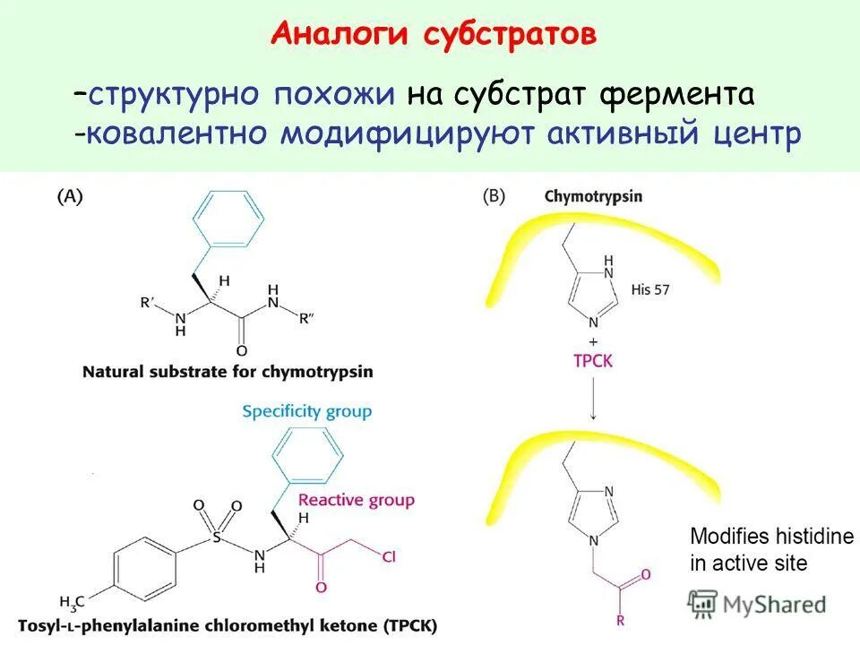 Ультразвуковые признаки реактивных изменений паренхимы печени. Жировая инфильтрация печени на узи. Страны с постиндустриальной структурой хозяйства. Признаки структурных изменений в субстрате. Относительная специфичность ферментов.