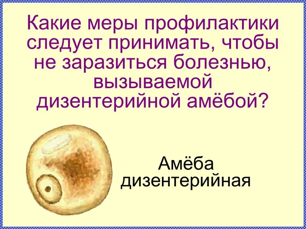 Подцепил какую болезнь. Дизентерийная амеба профилактика. Дизентерийная амеба меры предупреждения. Дизентерийная амеба профилактика заражения. Меры профилактики амебы.