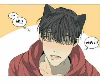 He has cat
