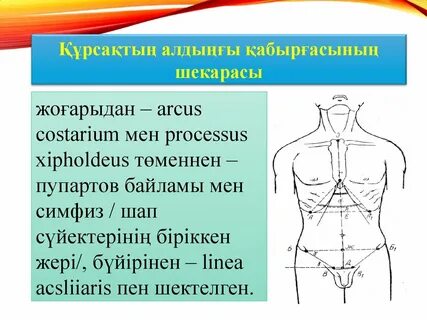 Жыныстық бейнелерді жүктеп алыңыз