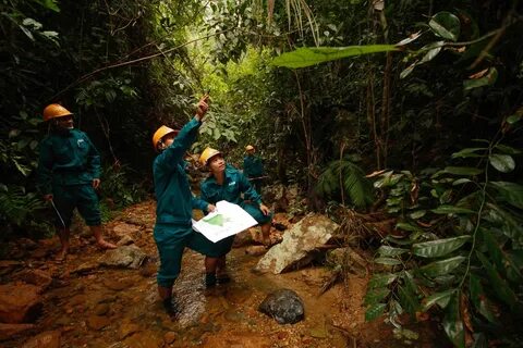 Individuals and the environment