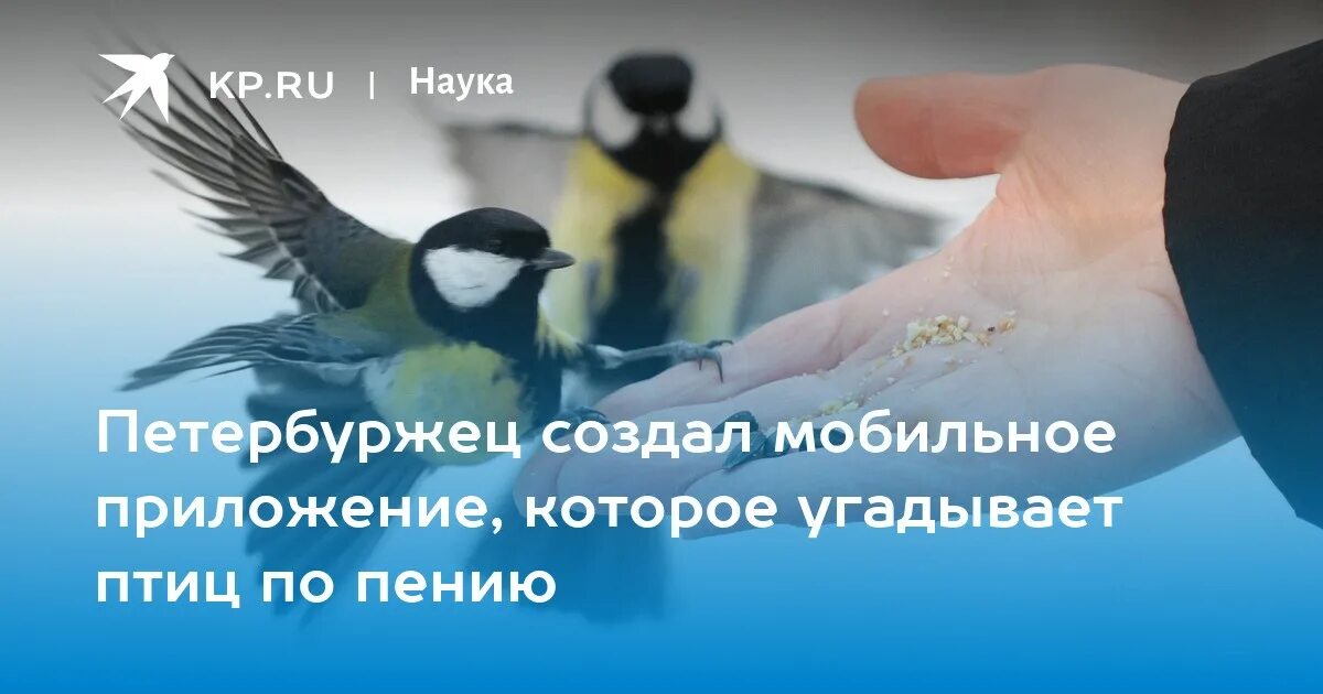 Весной возродилась земля и природа. Я могу девушка которая угадывала голоса птиц. Стих соловей. Летать стихи. Птицы коллаж.
