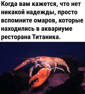 И в ней нет никаких