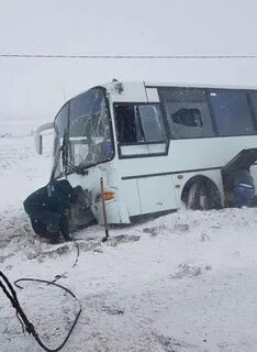 Автобус половинное курган завтра