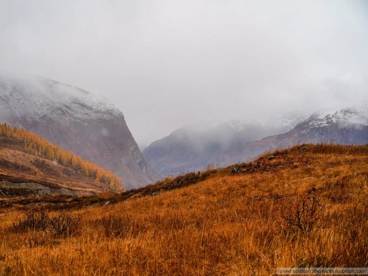 Золотые горы Алтая. Алтай солнце горный. Горный Алтай осенью. Осенний Алтай.