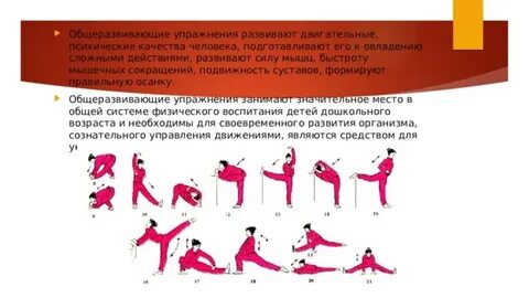 10 общеразвивающих упражнений