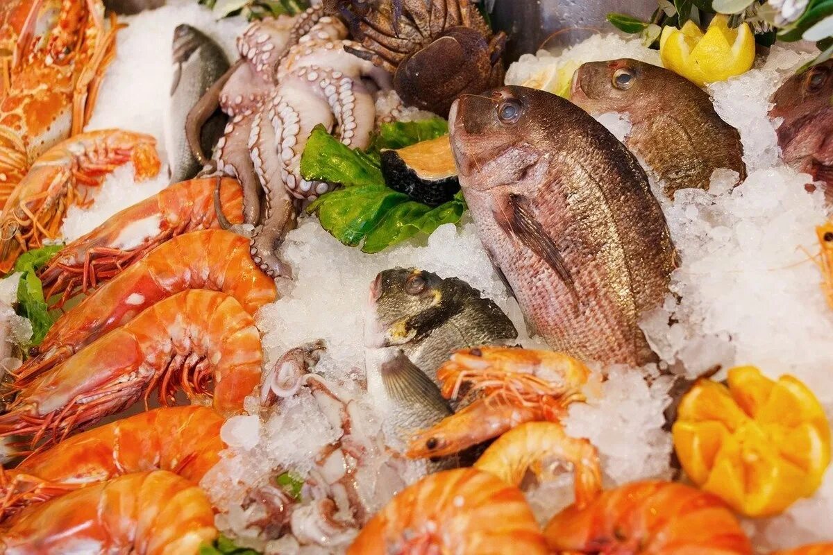 Море вкусного рыба. Морепродукты. мор рыбы. морепродукты деликатесы. живые морепродукты.