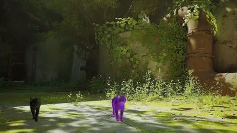 Stray похожие
