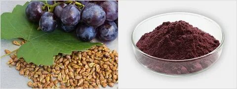 Виноградные косточки какой