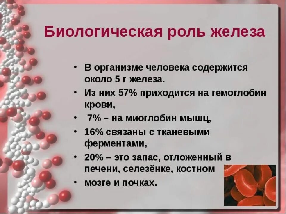 Польза крови. Железо роль в организме человека. Железо функции в организме человека. Функции ионов железа в организме человека. Иоль желез в организме человека.