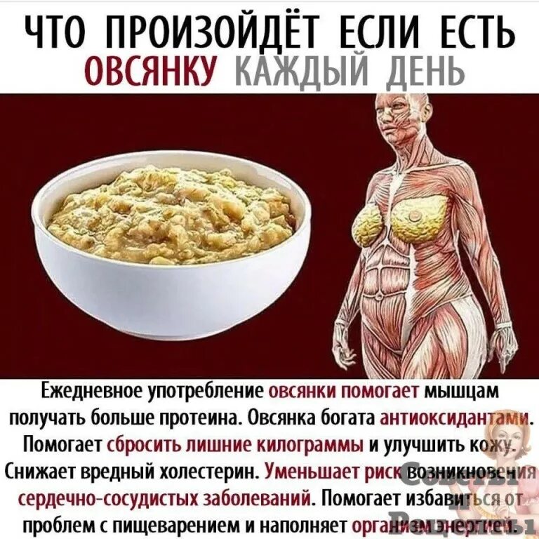 Что будет если есть только каши. Что если есть овсянку каждый день. овсянка польза для организма. овсянка польза. что будет если каждый день есть овсянку.