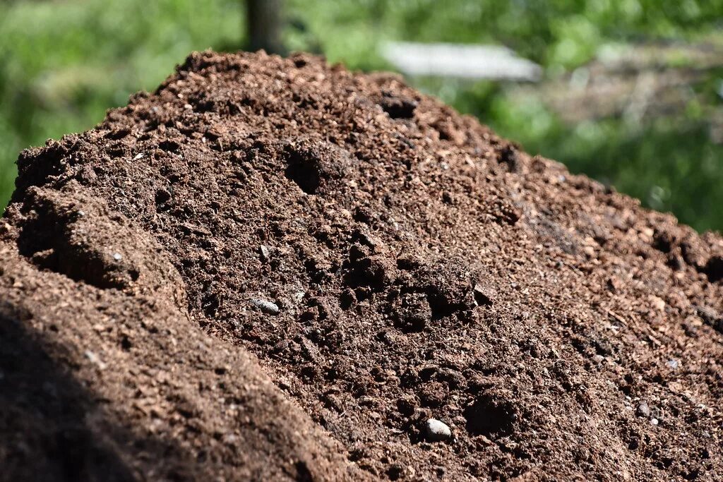 Какая почва на даче. Почва. Слабощелочная почва. Солонцеватые почвы. Щелочная почва.