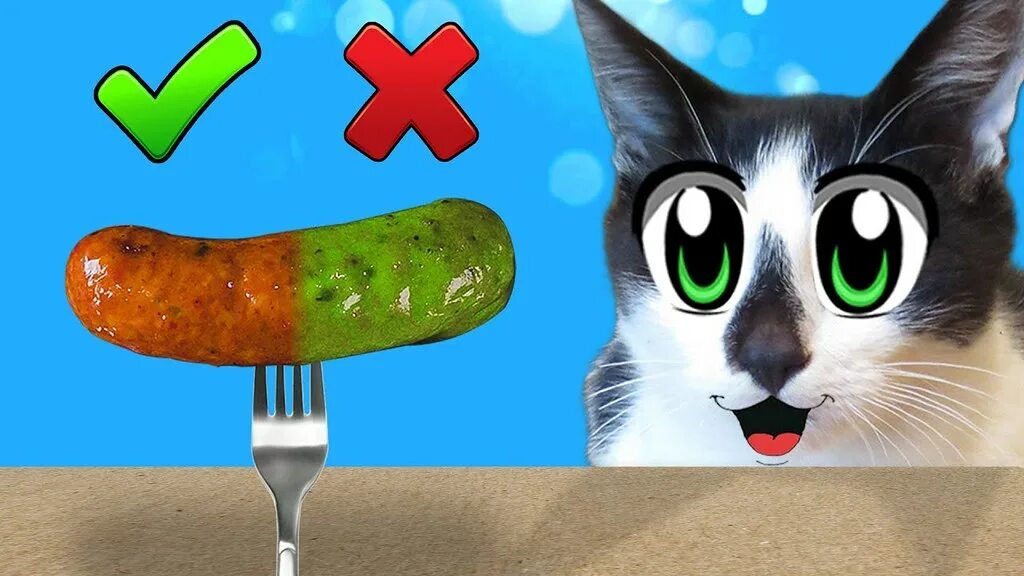 Кот малыш анука давайка. Включи видео кот малыш. А ну ка давайка кошка мурка. Анука давайка кот малыш и мурка. А ну ка давайка мурка.