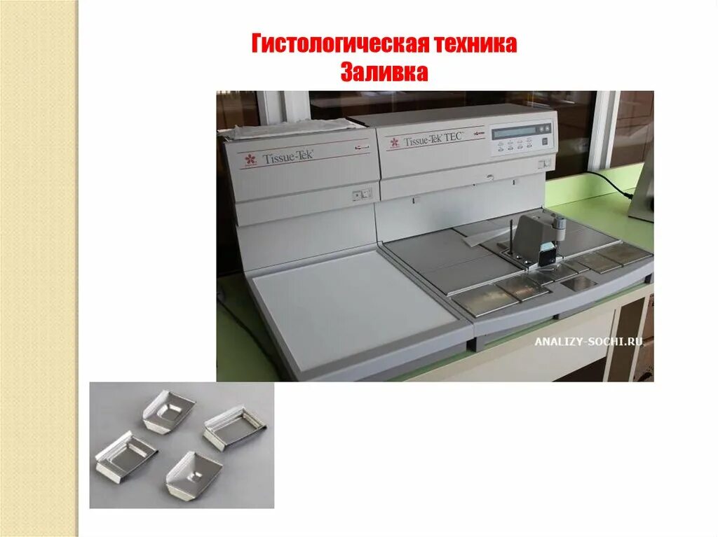 Фиксация гистологического материала