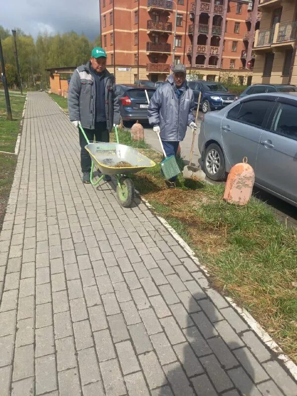 жилищные инициативы химки. дело капитана рюмина. жк город набережных заброшенный лагерь. елочки жилищная инициатива. жилищная инициатива логотип.