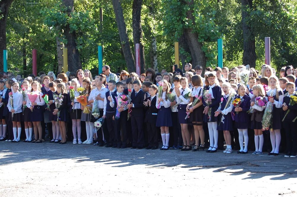 Номера воронежских школ. Школа 74 Воронеж. Школа 74 Воронеж директор школы. Воронежская школа 74 сайт. Школа 79 Воронеж.