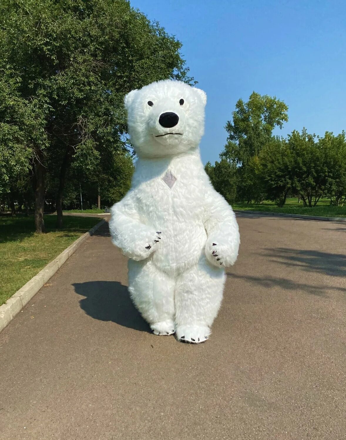 Мишка тедди ростовая. Ростовый мишка. Ростовой мишка. Ростовая кукла мишка. Ростовый мишка.